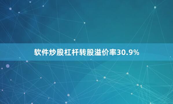 软件炒股杠杆转股溢价率30.9%
