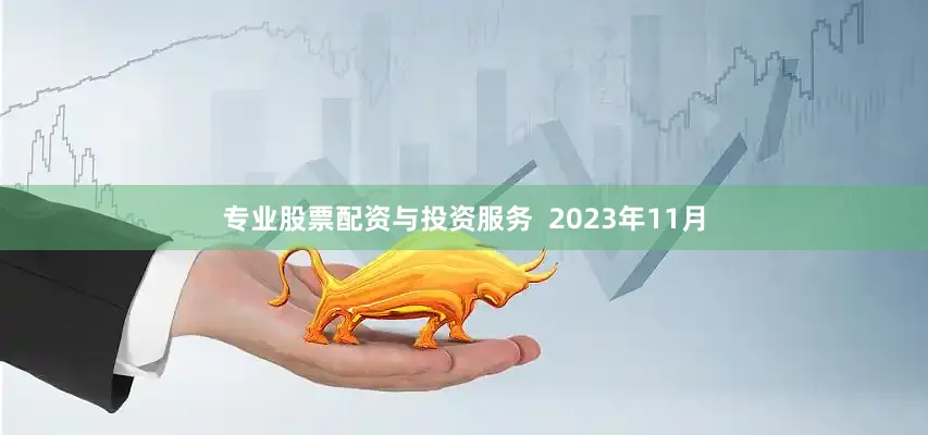 专业股票配资与投资服务  2023年11月