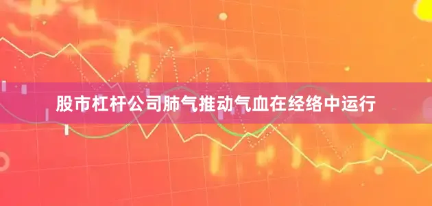 股市杠杆公司肺气推动气血在经络中运行