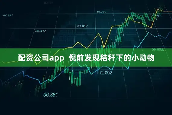 配资公司app  　　倪前发现秸秆下的小动物